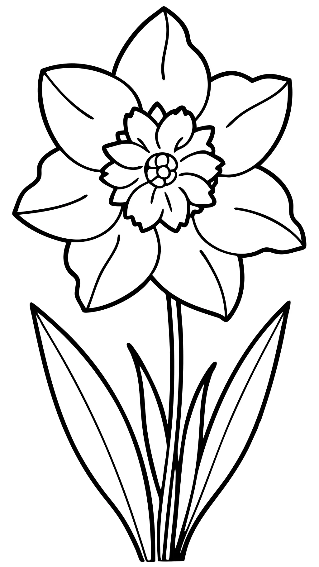 daffodil coloring pages